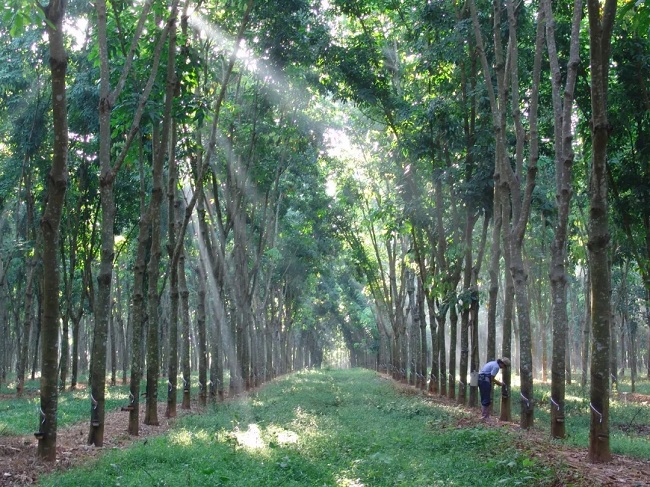 2021年新年賀詞丨不忘初心勇向前 牢記使命再啟程